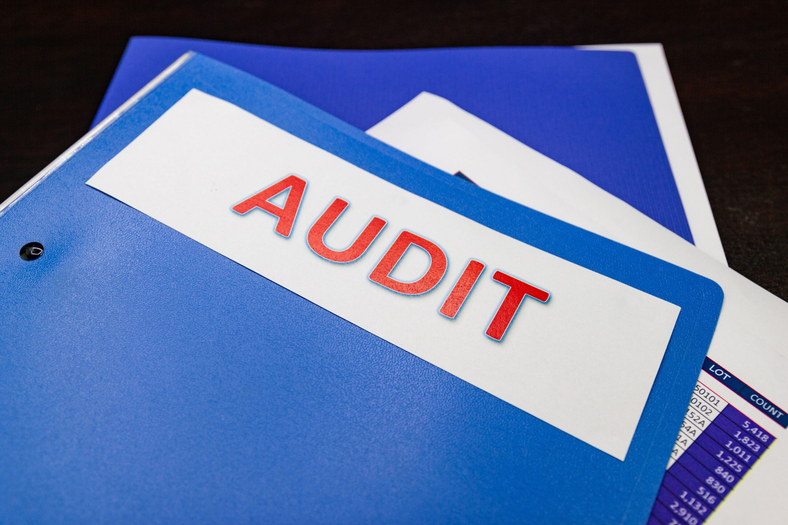 Outsourced Internal Audit Services