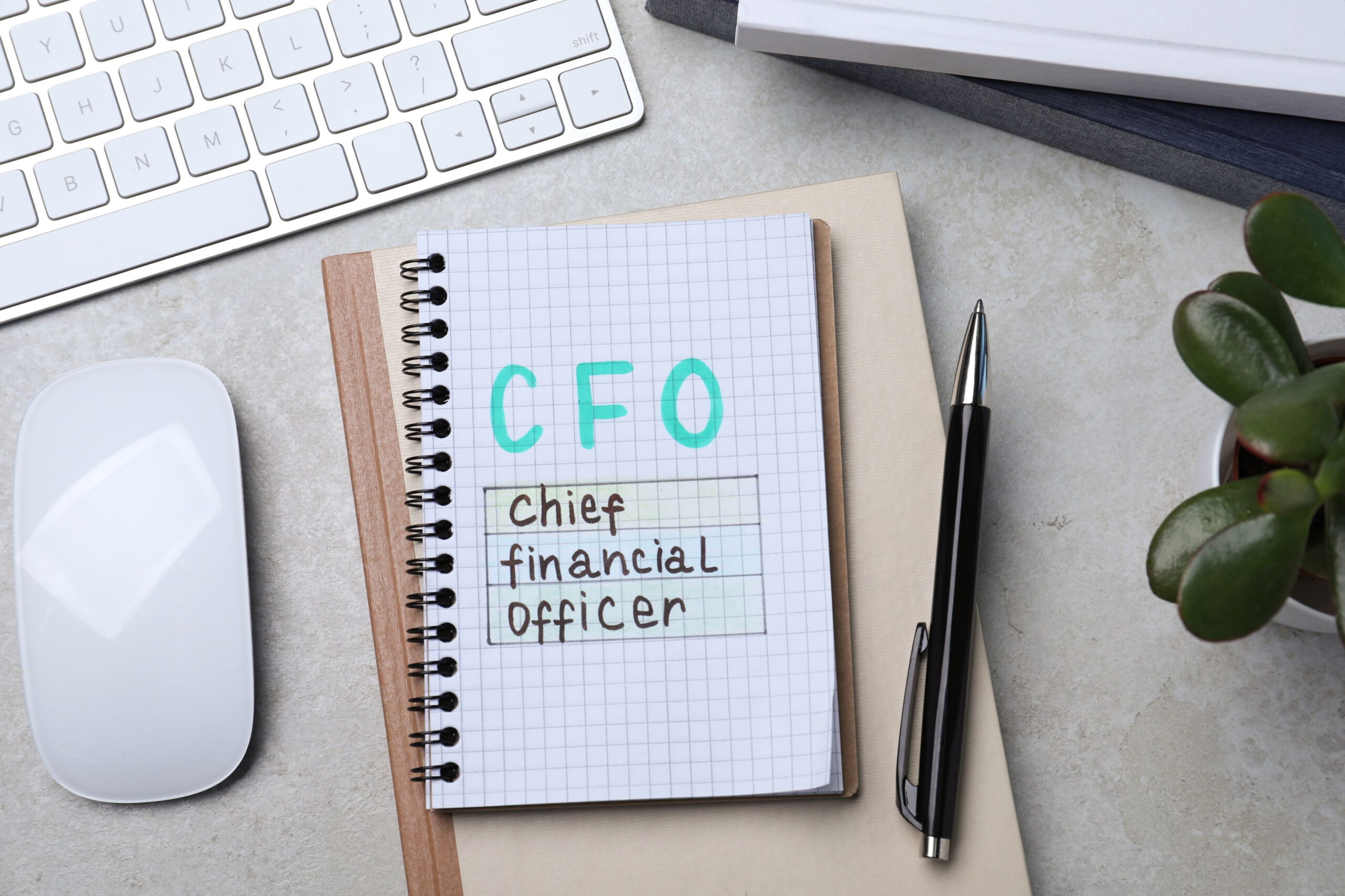 fractional-cfo-services-in-the-uae